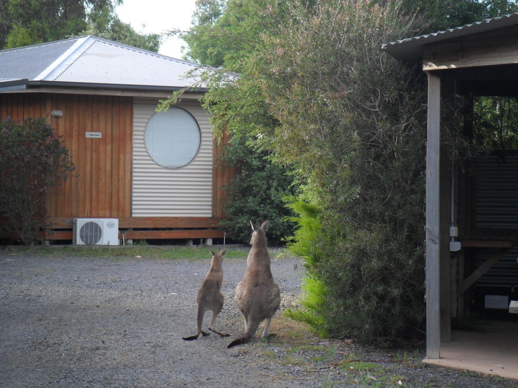 Grampians Chalets Холс-Гэп Экстерьер фото
