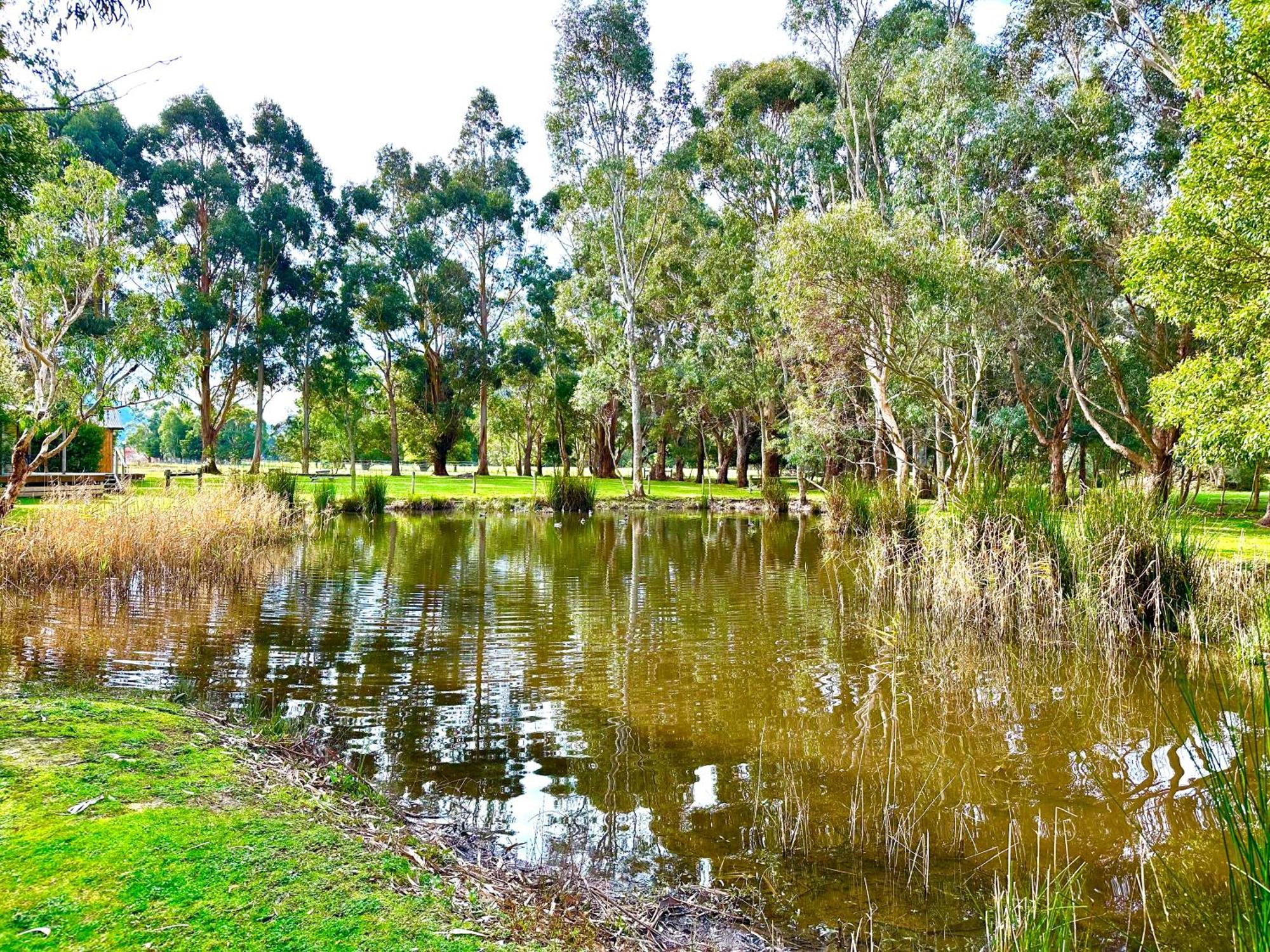 Grampians Chalets Холс-Гэп Экстерьер фото