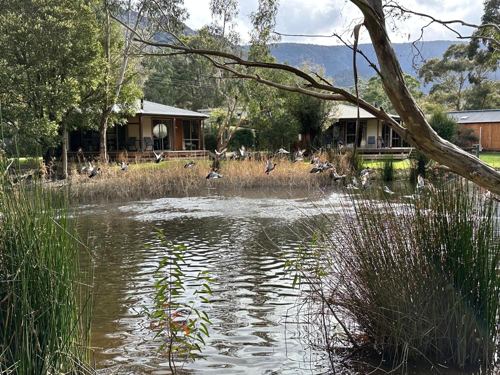 Grampians Chalets Холс-Гэп Экстерьер фото